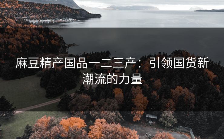 麻豆精产国品一二三产：引领国货新潮流的力量