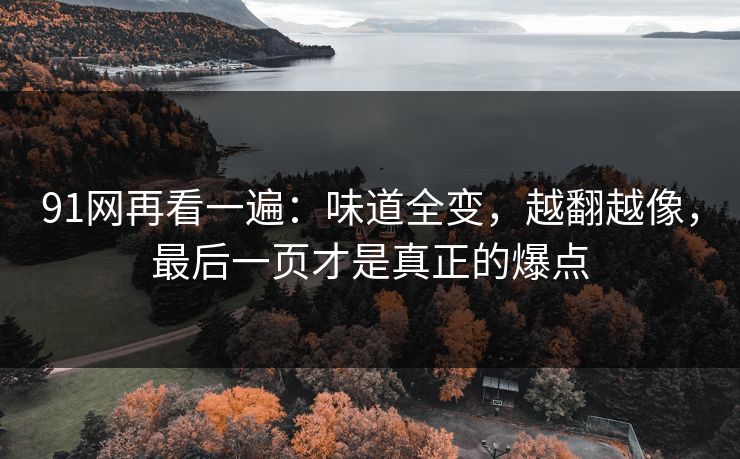 91网再看一遍:味道全变,越翻越像,最后一页才是真正的爆点 91网再看一遍:味道全变,越翻越像,最后一页才是真正的爆点